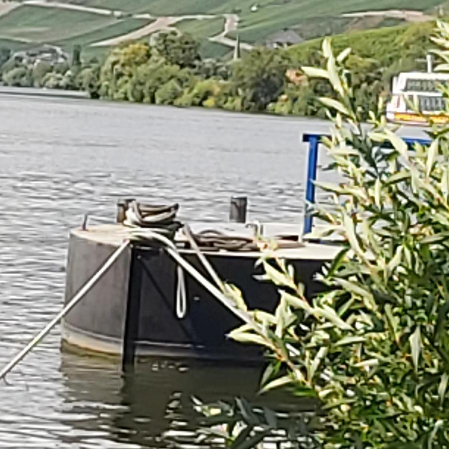Kleine Altstadt Oase Διαμέρισμα Bernkastel-Kues Εξωτερικό φωτογραφία